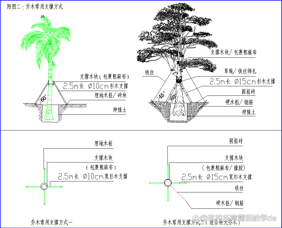 奇异果app官网下载：「保藏」零基本初学园林工程施工央求及留心事项(图3)