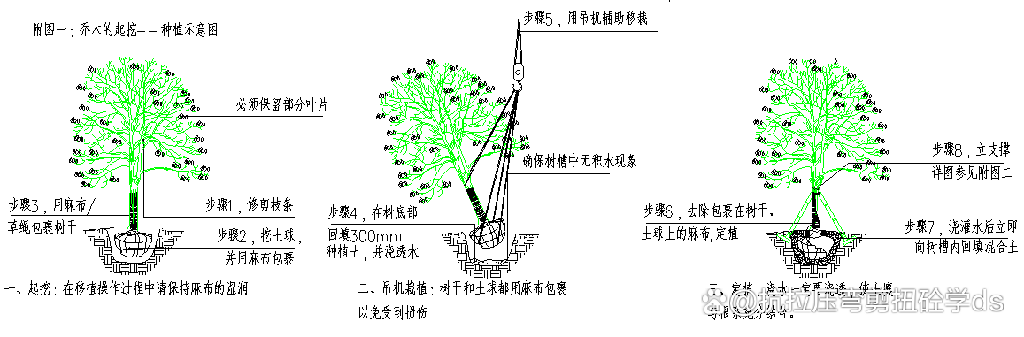 奇异果app官网下载：「保藏」零基本初学园林工程施工央求及留心事项(图2)